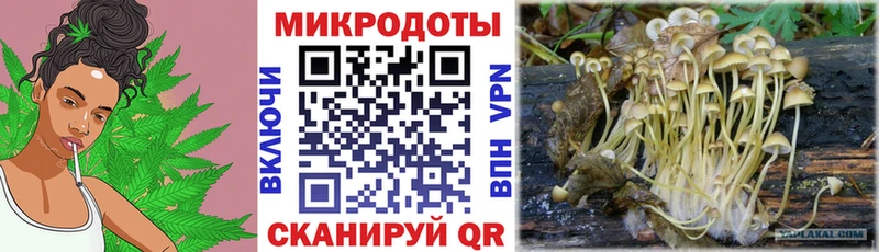 Псилоцибиновые грибы ЛСД  цены   Сосновый Бор 