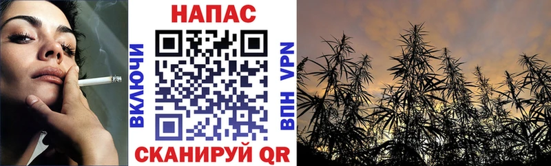 Конопля тримм  Сосновый Бор 